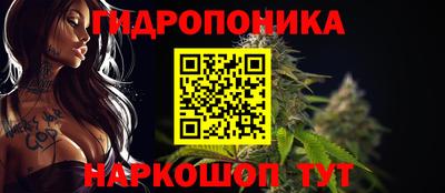 крисы Краснознаменск
