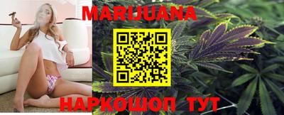крисы Краснознаменск