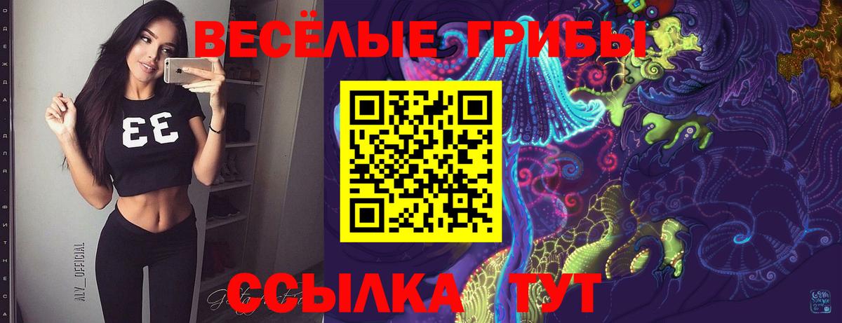Казань  Псилоцибиновые грибы ЛСД  Вход с VPN  Псилоцибиновые грибы Cubensis 